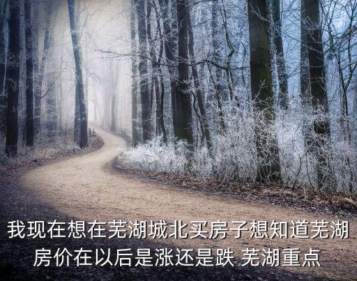 我現(xiàn)在想在蕪湖城北買房子想知道蕪湖房價(jià)在以后是漲還是跌 蕪湖重點(diǎn)