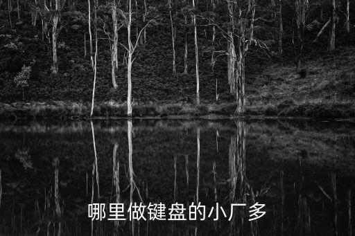 哪里做鍵盤的小廠多