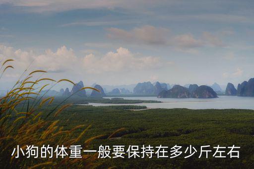 小狗的體重一般要保持在多少斤左右