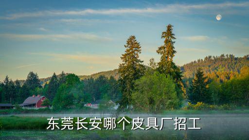 東莞長安哪個皮具廠招工
