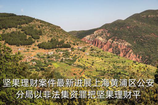 堅果理財案件最新進展上海黃浦區公安分局以非法集資罪把堅果理財平