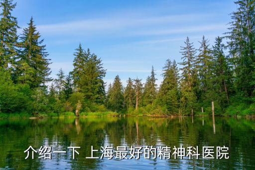 介紹一下 上海最好的精神科醫(yī)院