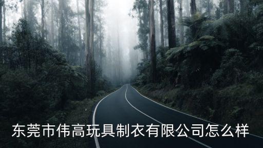 東莞市偉高玩具制衣有限公司怎么樣