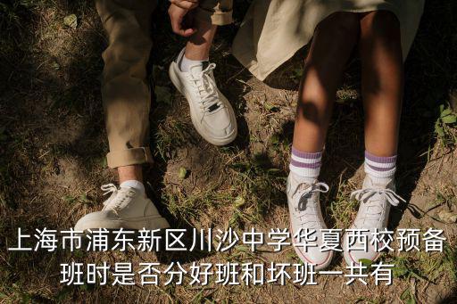 上海市川沙中學(xué)北，上海市如果要考川沙中學(xué)最少要幾分