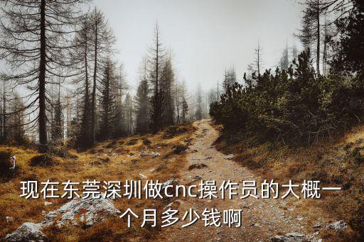 現(xiàn)在東莞深圳做cnc操作員的大概一個月多少錢啊
