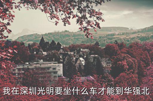 我在深圳光明要坐什么車才能到華強北