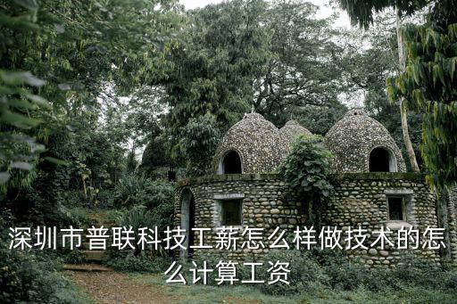 深圳光明新區普聯公司待遇怎么樣，有誰在深圳普聯公司上班的啊待遇怎么樣辛不辛苦啊