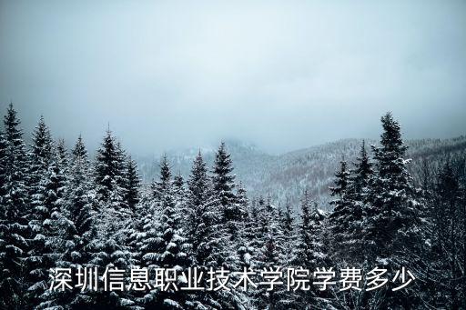 深圳信息職業(yè)技術(shù)學(xué)院學(xué)費(fèi)多少