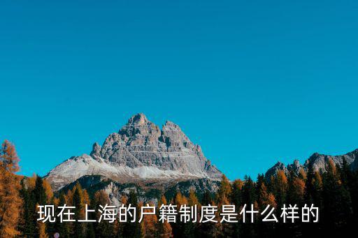 現(xiàn)在上海的戶籍制度是什么樣的