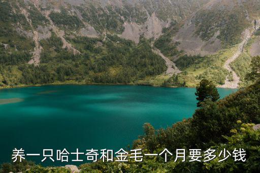 養一只哈士奇和金毛一個月要多少錢