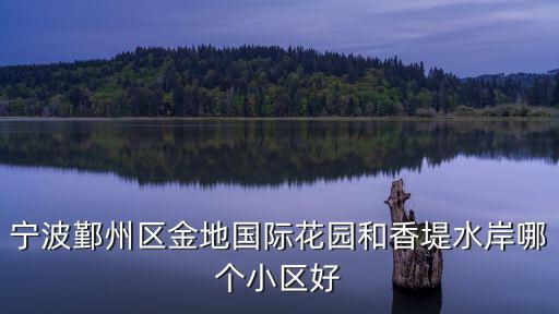 寧波鄞州區(qū)金地國際花園和香堤水岸哪個小區(qū)好