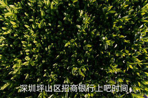 深圳坪山2019年招商，請(qǐng)問(wèn)深圳坪山有哪些商場(chǎng)招營(yíng)業(yè)員