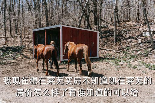 我現在想在萊蕪買房不知道現在萊蕪的房價怎么樣了有誰知道的可以給