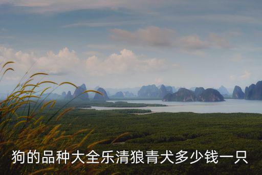 狗的品種大全樂清狼青犬多少錢一只