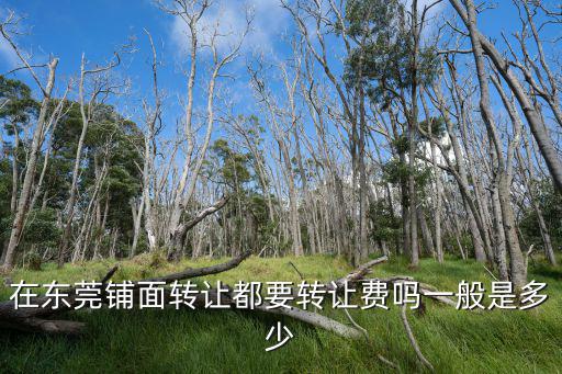 在東莞鋪面轉讓都要轉讓費嗎一般是多少