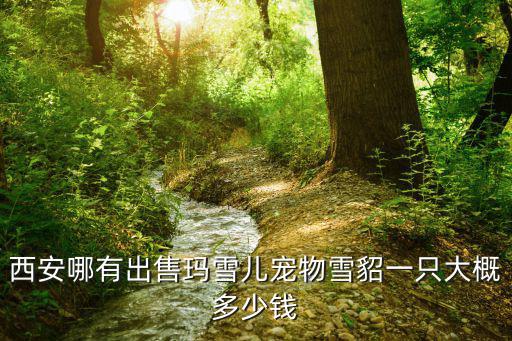 西安哪有出售瑪雪兒寵物雪貂一只大概多少錢