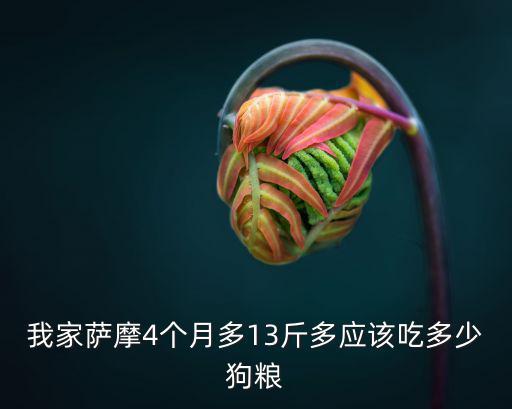 我家薩摩4個(gè)月多13斤多應(yīng)該吃多少狗糧