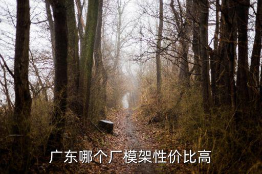 東莞那些模胚廠好，我公司在東莞長安鎮這邊有沒有質量好的模胚廠啊