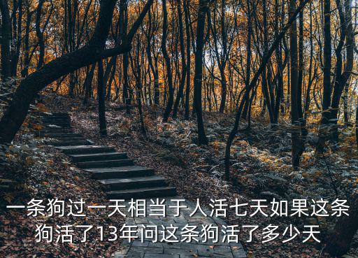 一條狗過一天相當于人活七天如果這條狗活了13年問這條狗活了多少天