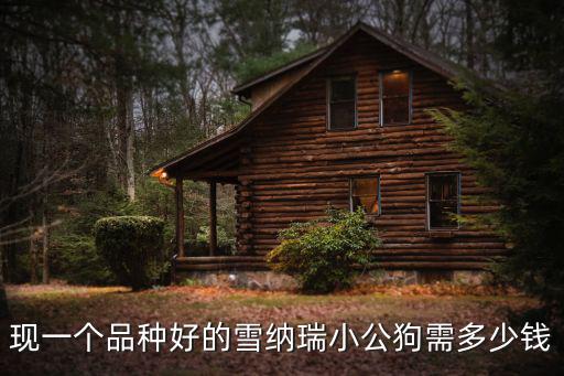 現(xiàn)一個品種好的雪納瑞小公狗需多少錢