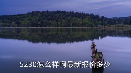 5230怎么樣啊最新報價多少