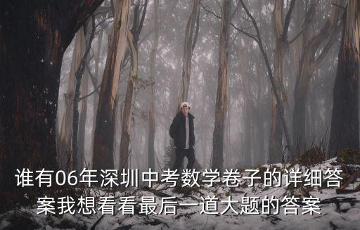 誰有06年深圳中考數(shù)學(xué)卷子的詳細(xì)答案我想看看最后一道大題的答案