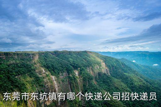 東莞市東坑鎮(zhèn)有哪個(gè)快遞公司招快遞員