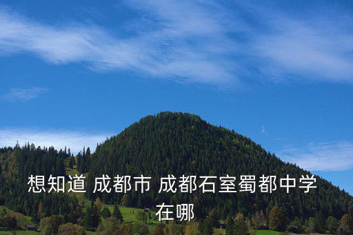 想知道 成都市 成都石室蜀都中學 在哪