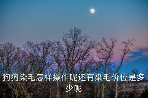狗狗染毛怎樣操作呢還有染毛價位是多少呢