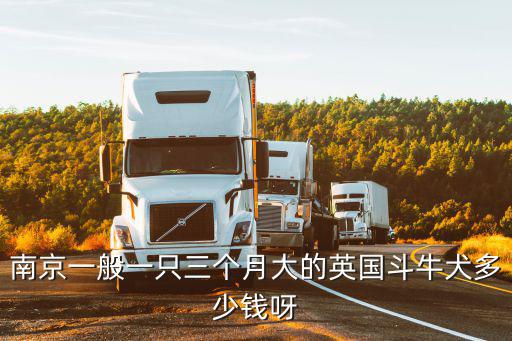 三個(gè)月大的斗牛吃多少錢，三個(gè)月的斗牛犬每頓應(yīng)吃多少狗糧