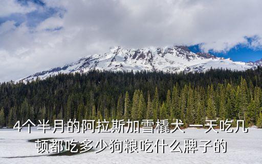 4個半月的阿拉斯加雪橇犬 一天吃幾頓都吃多少狗糧吃什么牌子的