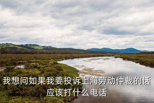 上海勞動仲裁電話打不通，我想問如果我要投訴上海勞動仲裁的話應該打什么電話