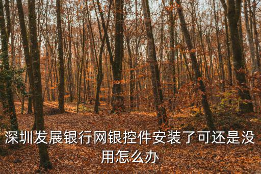 深圳發展銀行軟件，深圳發展銀行網銀控件安裝了可還是沒用怎么辦