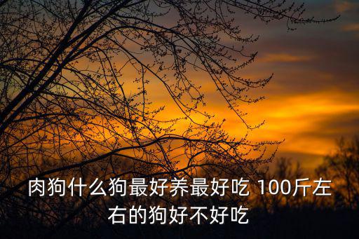 肉狗什么狗最好養最好吃 100斤左右的狗好不好吃