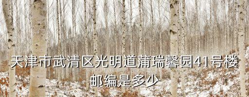 天津市武清區光明道蒲瑞馨園41號樓郵編是多少