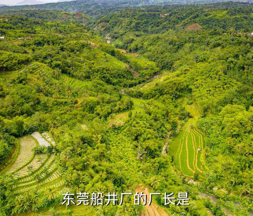 東莞船井廠的廠長是