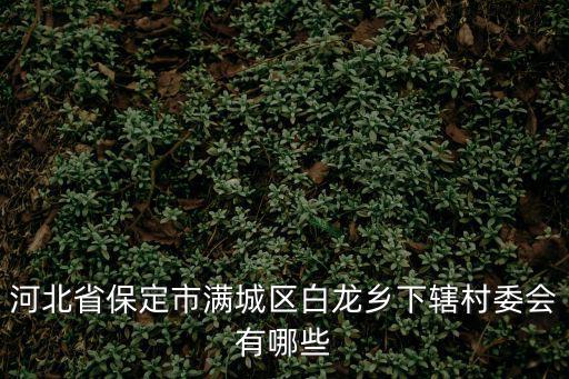 河北省保定市滿城區白龍鄉下轄村委會有哪些