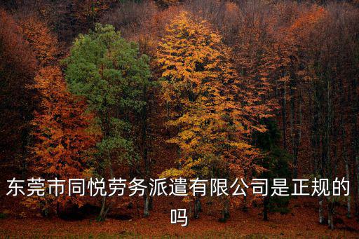 東莞市同悅勞務(wù)派遣有限公司是正規(guī)的嗎