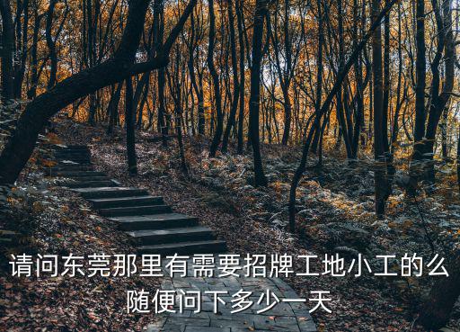 請(qǐng)問(wèn)東莞那里有需要招牌工地小工的么隨便問(wèn)下多少一天