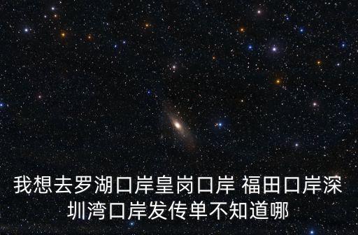 我想去羅湖口岸皇崗口岸 福田口岸深圳灣口岸發(fā)傳單不知道哪