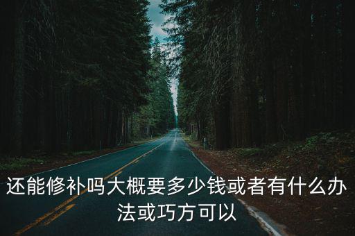 還能修補嗎大概要多少錢或者有什么辦法或巧方可以