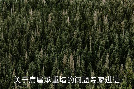 關于房屋承重墻的問題專家進進