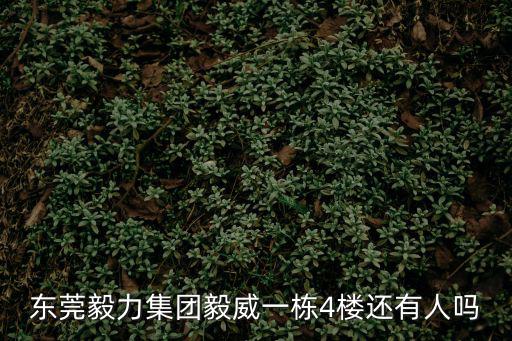東莞鳳崗官井頭毅力廠，東莞毅力集團(tuán)毅威一棟4樓還有人嗎