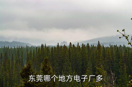 東莞電子廠那些地方多，東莞那個地方電子廠多