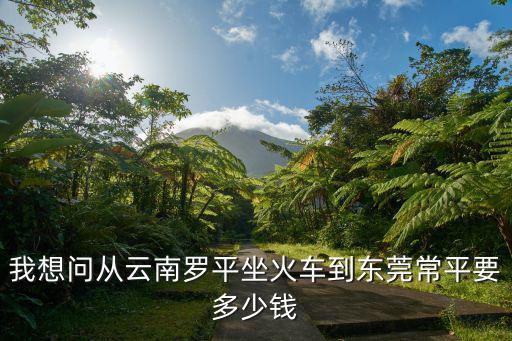 我想問從云南羅平坐火車到東莞常平要多少錢