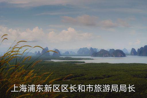 上海浦東新區(qū)區(qū)長(zhǎng)和市旅游局局長(zhǎng)
