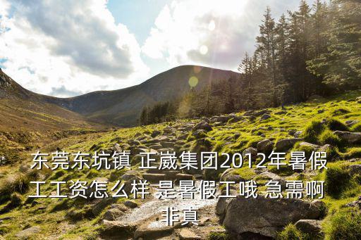 東莞東坑鎮(zhèn) 正崴集團(tuán)2012年暑假工工資怎么樣 是暑假工哦 急需啊 非真