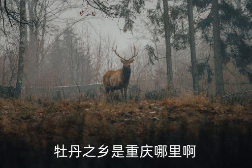 重慶市羅文鎮(zhèn)，重慶長壽區(qū)哪個鎮(zhèn)最大經濟條件好一點
