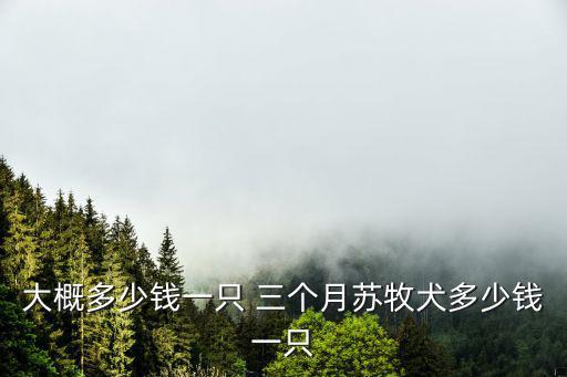 大概多少錢一只 三個月蘇牧犬多少錢一只