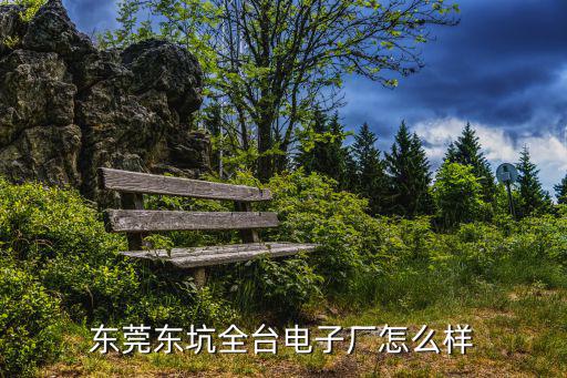 東莞東坑全臺電子廠怎么樣